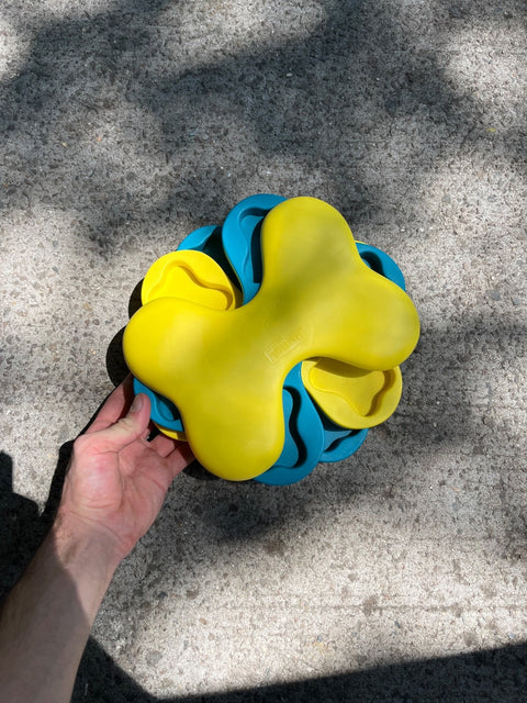 Parrot Interactive Dog Toy