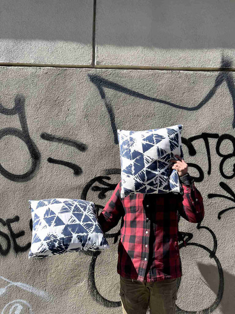 Patterned Throw Pillows Duo