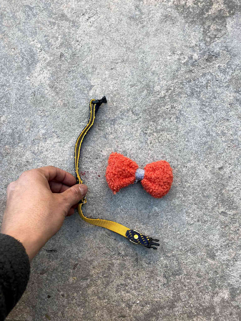 Pet Bow Tie Accessory