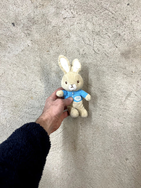 Peter Rabbit Plush Toy