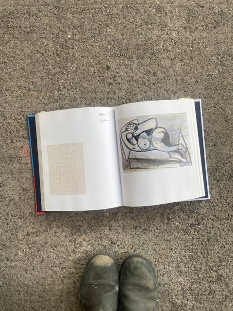 Picasso Art Book in French