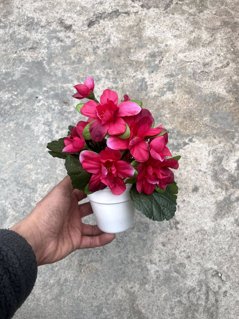 Pink Fake Flower Pot