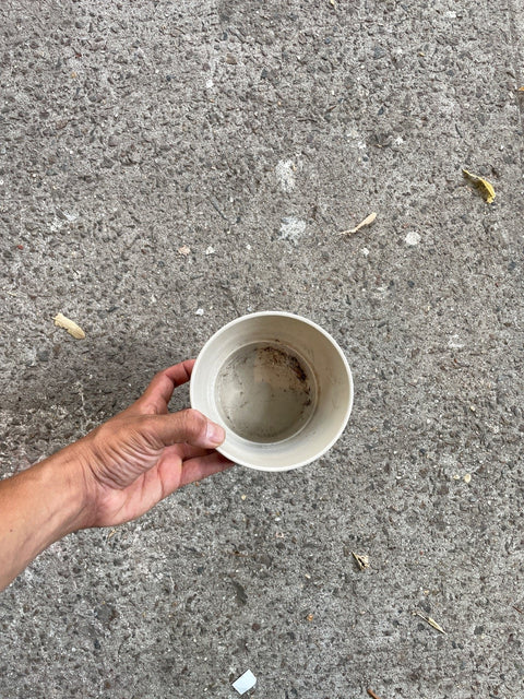 Plain Ceramic Flower Pot