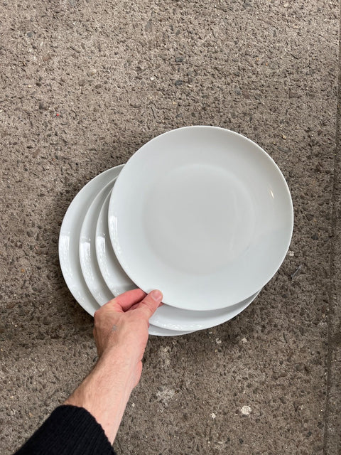 5 Plain White Dinner Plates