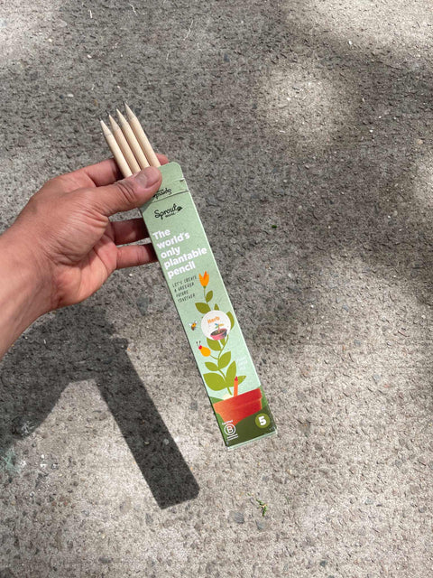Plantable Pencils Set