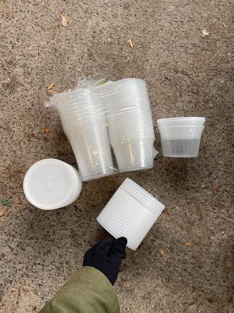 Plastic Containers With Lids
