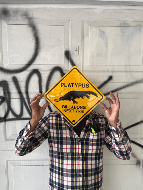Platypus Crossing Sign
