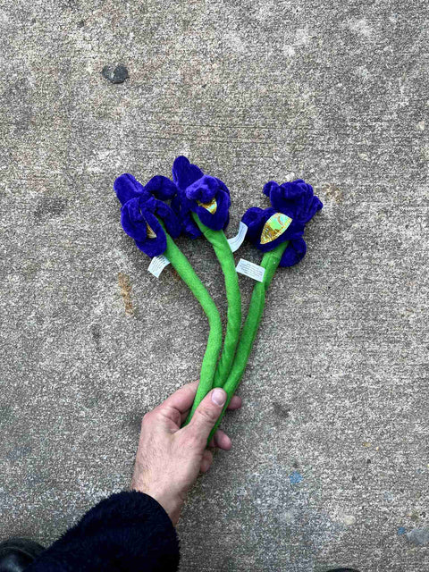 Plush Purple Flowers