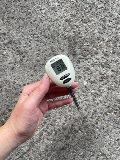 Polder Digital Cooking Thermometer
