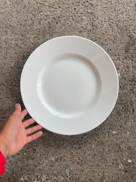 Pottery Barn Large Serving Plate