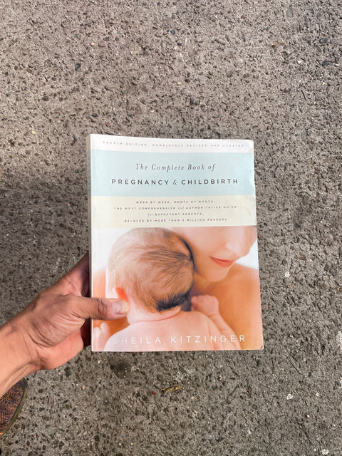 Pregnancy & Childbirth By Kitzinger