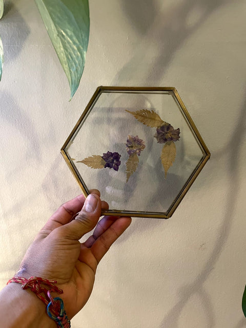 Pressed Flower Hexagon Frame