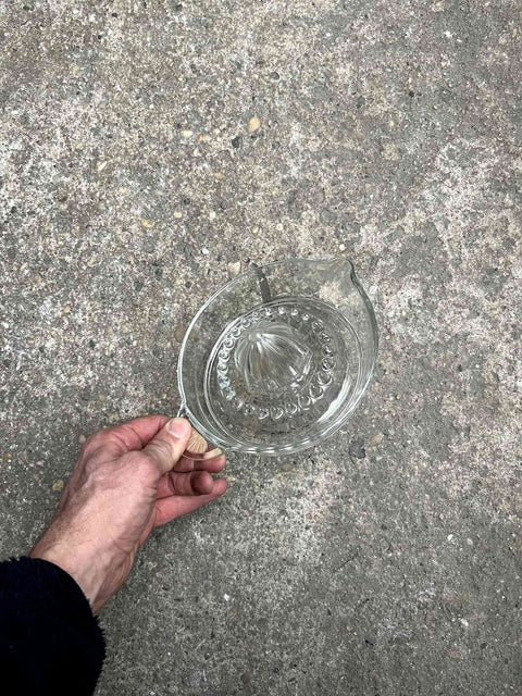 Pretty Glass Juicer