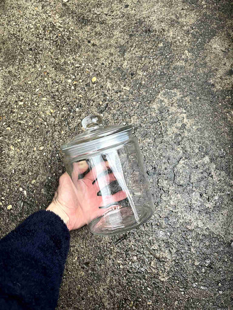 Pretty Glass Storage Jar For Cookies, Candies, You Get The Idea...