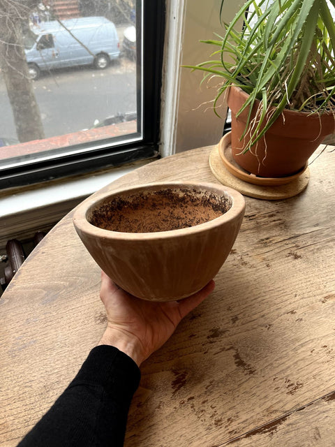 Pretty Terracotta Low Bowl Planter, 9"