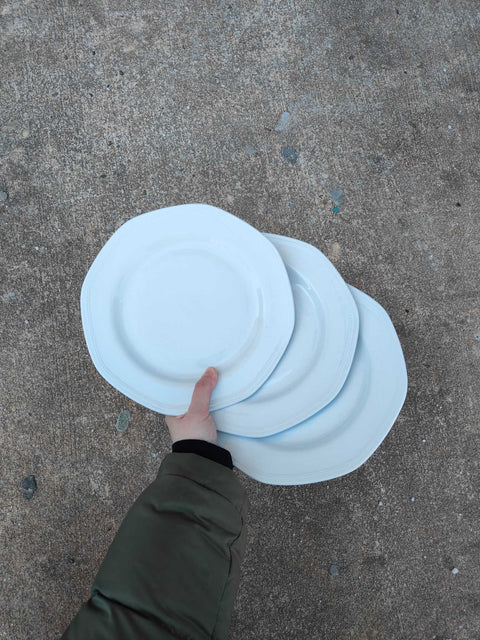 Pretty White Dinner Plates