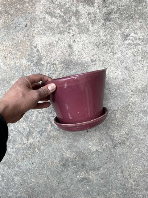 Purple Plant Pot with Drainage