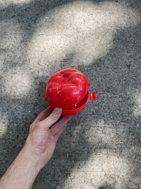 Quirky Tomato-Shaped Tupperware