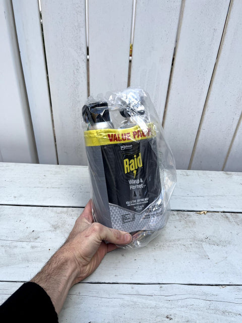 Raid Wasp And Hornet Killer