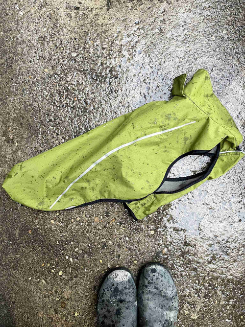 Raincoat for Dogs