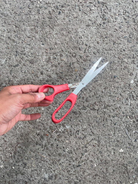 Red Handle Scissors