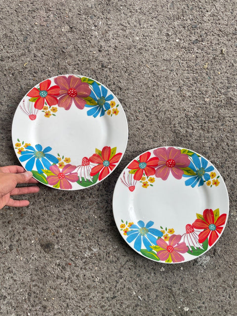 Royal Norfolk Floral Dinner Plates
