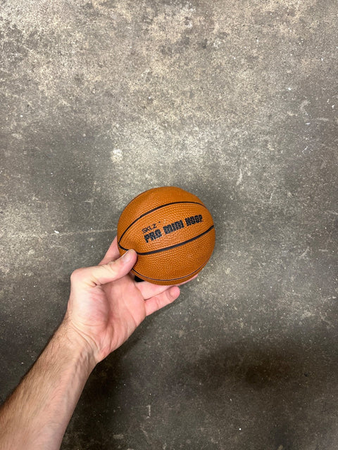 SKLZ Pro Mini Basketball