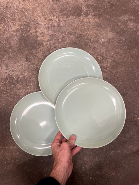 Sage Green Dinner Plates