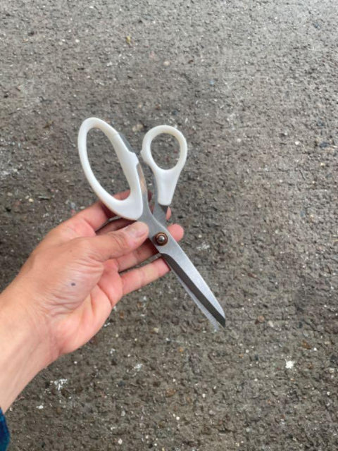 Scissors