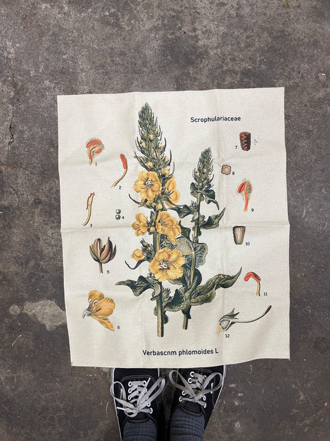 Scrophulariacea Botanical Fabric Print
