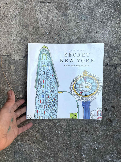 Secret New York Coloring Book