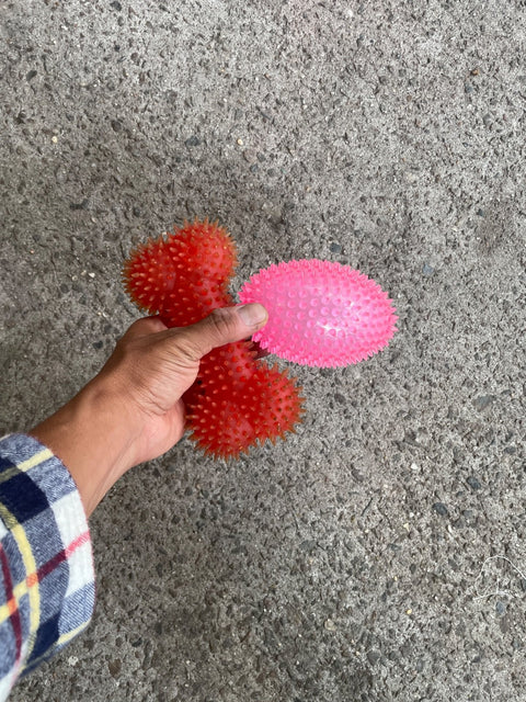 Sensory Balls