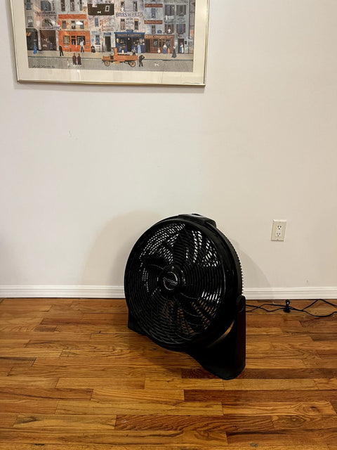 Serious Lasko Cyclone 3 Speed Floor Fan, 20"