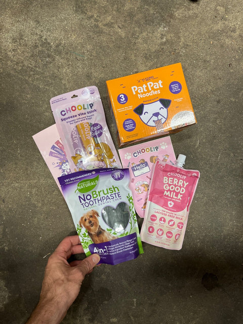 Set Of Unexpired Fancy Dog Food