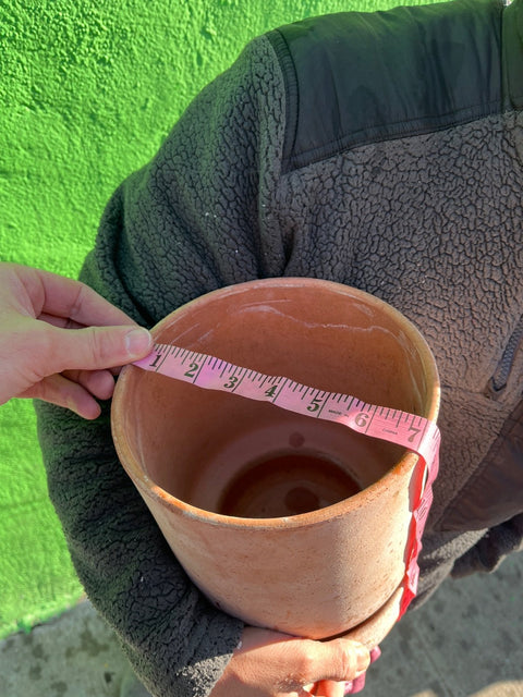 Sexy Terra Cotta Planter Pot, 7"