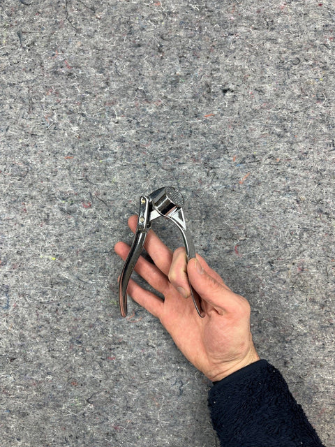 Shiny Silver Garlic Press