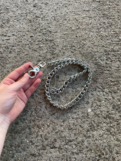 Silver Chain with Clips