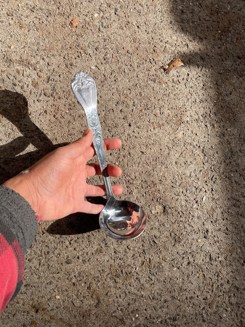 Silver Ladle