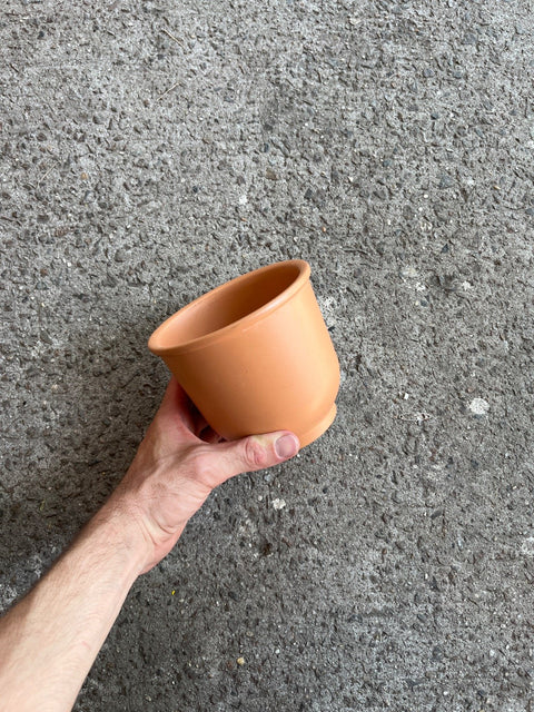 Simple Terracotta Pot, 5" Wide