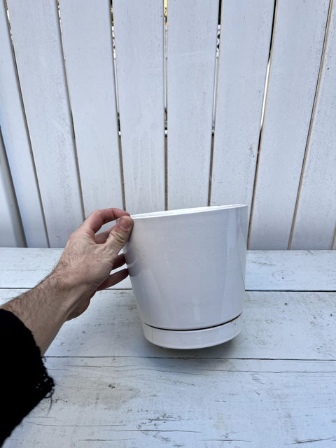 Simple White Ceramic Planter Pot, 8" Wide