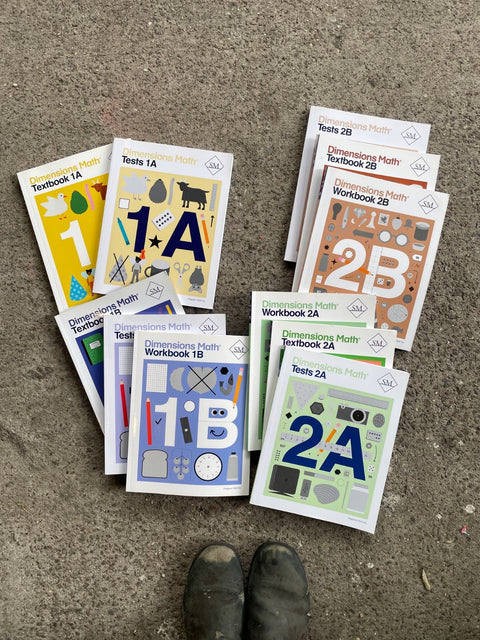 Singapore Maths Book Set
