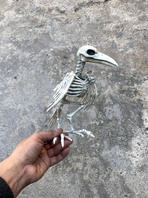 Skeleton Bird Figurine