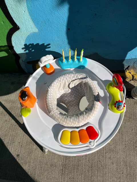 Skip Hop Activity Center, Batteries Included