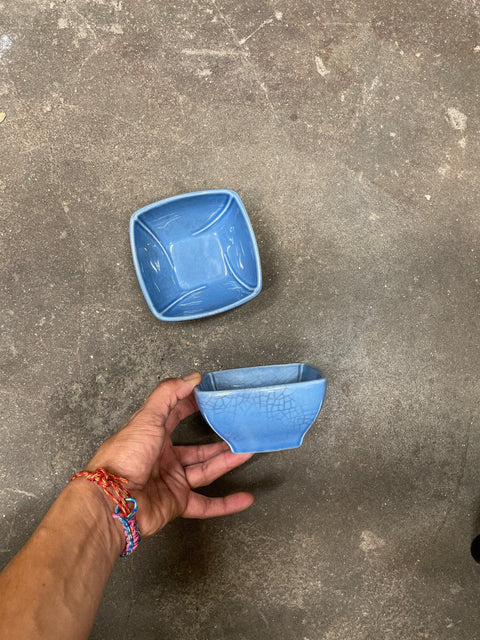 Chic Sky Blue Nuts Bowls