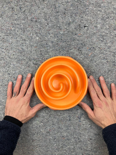 Slow Feeder Pet Bowl