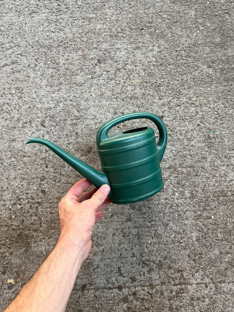 Small Green Plastic Watering Can