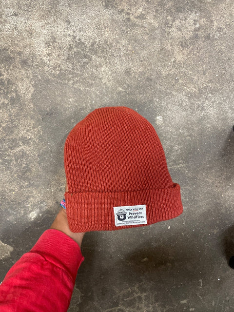 Smokey Bear Prevent Wildfires Beanie