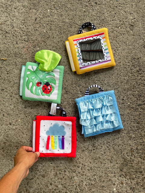 Soft Sassy Baby Books