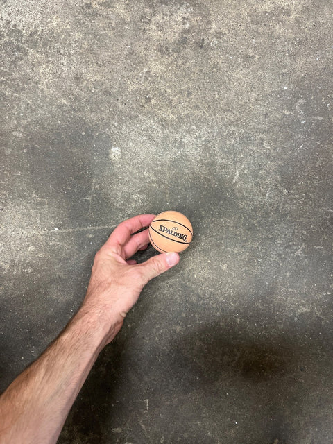 Spalding Mini Basketball