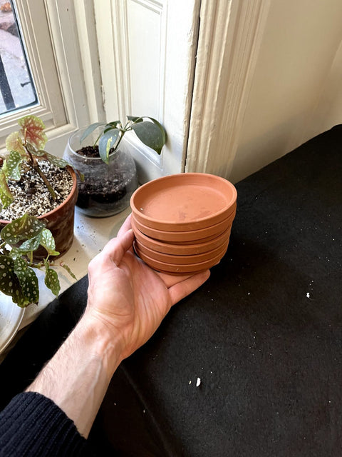 Stack Of Terracotta Plant Saucers, 5" Wide